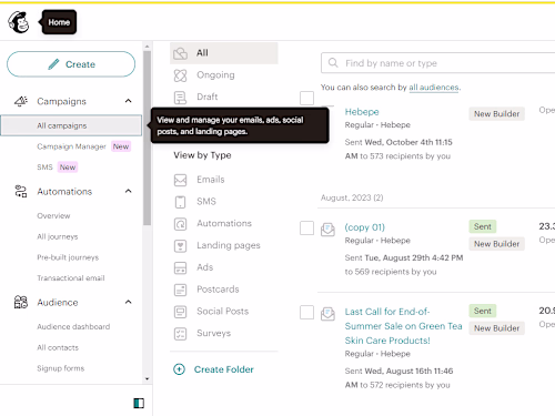 Email Campaign Management