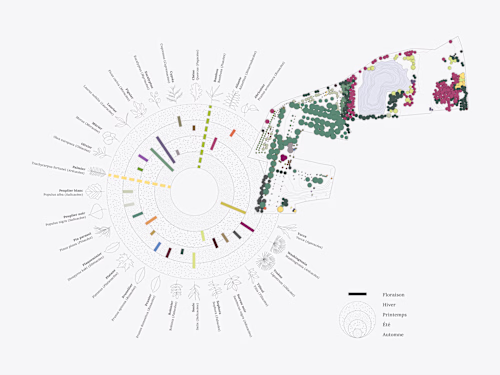 Visualization of tree species and their blooming periods