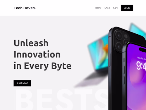 E-Commerce Website Using Next.js & Payload CMS