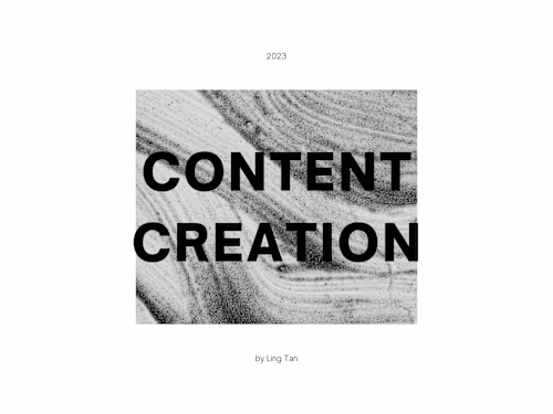 Ocean Conservation NGO | Content Creation