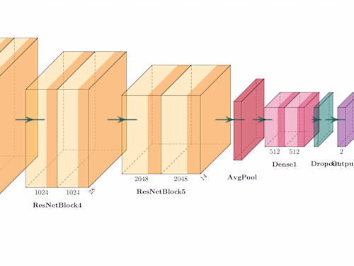 Graph Attention Networks (GAT) for Chest X-ray Image Classifica…