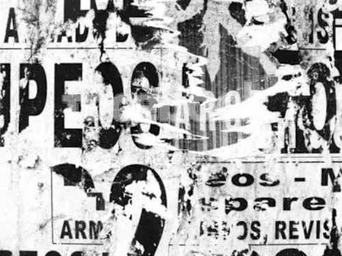 Newsletter & Copywriting Series