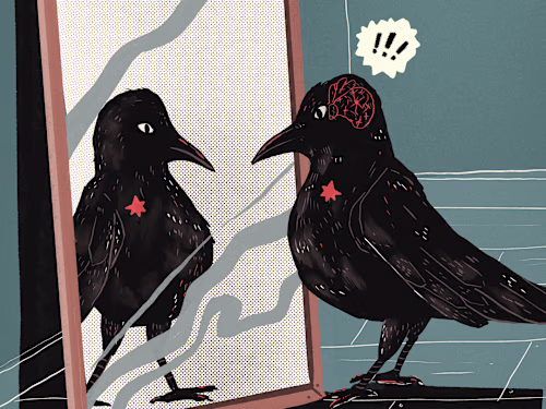 Illustration (Editorial, social media, brands)