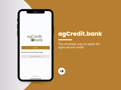 Digital Lending App Design
