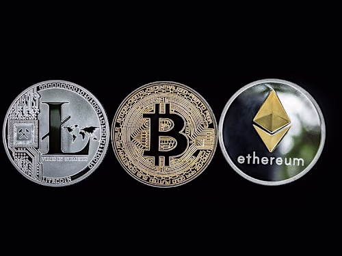 What Drives the Crypto-Train?