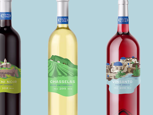 Brand Design: Route & Vine- Modern and Bold