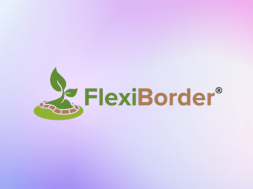SEO Success for Flexiborder’s Garden Borders