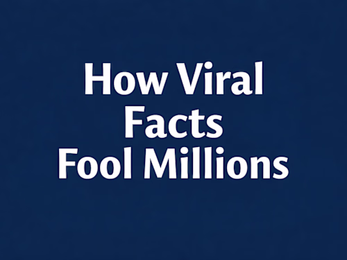 How Online Misinformation Works