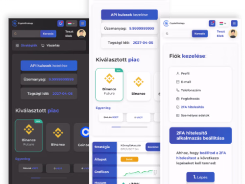 CriptoStrategy  User Interface design