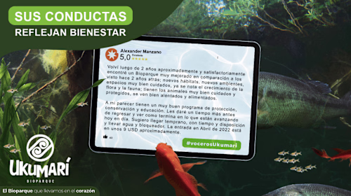 Ukumarí Spokespeople. - Creative Advertising 
