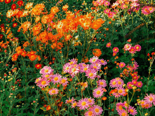 Sustainability Blog Posts