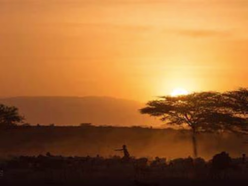 Shebaland – Sheba land Tour