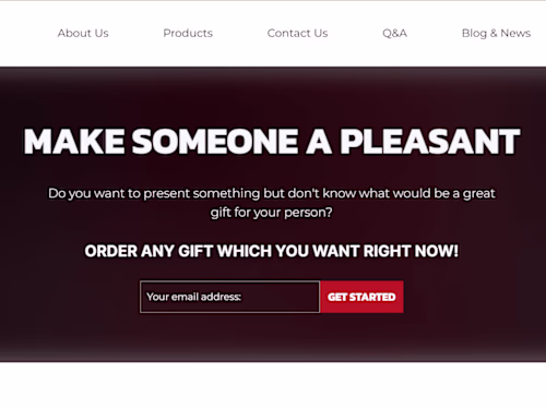 Website Development - Online Shop