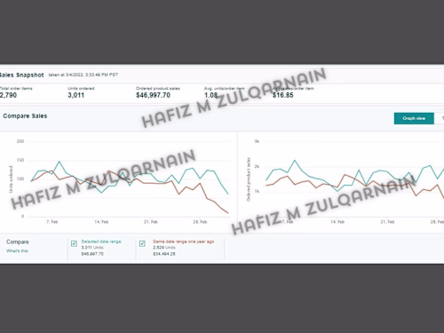 Expert PPC Campaign Management & Optimization for Amazon Sales
