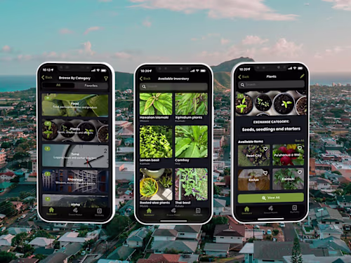 Exchange Ave - An Ahupua’a Inspired Digital Economy