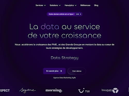 Data Hanalytics – La data au service de votre croissance