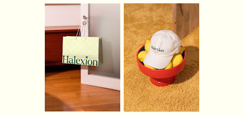 Halexion | Brand Identity Design 