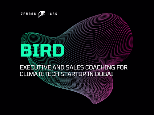 Building Bird Collaborative: Strategy Development and Team Coach