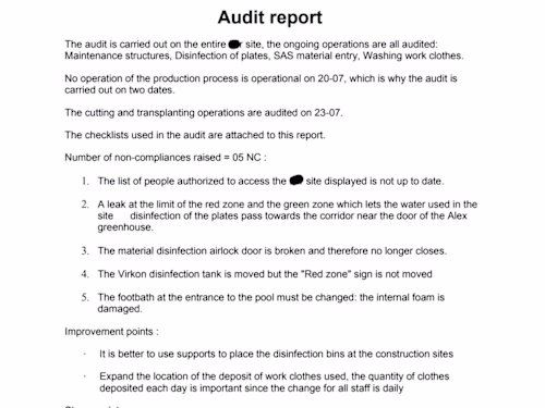 Audit Report