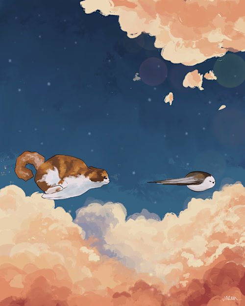 Cats being cats but majestically