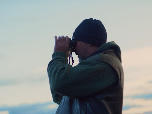 Documentary Teaser | YARN. Merino Wool