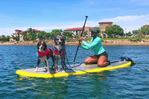Dog Athletes of the Month: Kahlua & Whiskey Advance