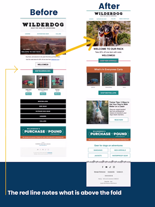 Wilderdog offers durable, adventure-ready gear