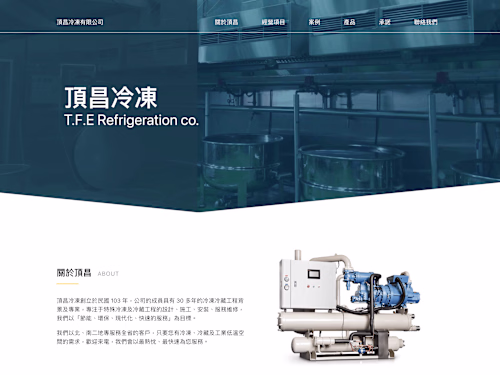 TFE | Branding Website