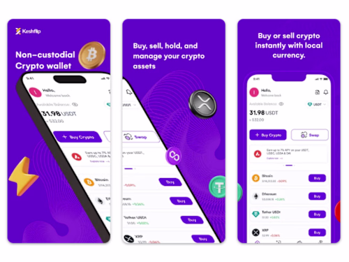 Crypto wallet development for a Fintech firm.