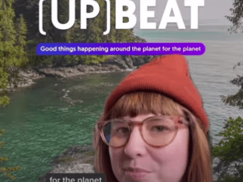 Elsewhere by Lonely Planet Social Strategy & Execution