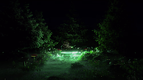 Enchanted Visualizers for Rose Zee