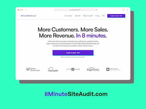 8minutesiteaudit.com
