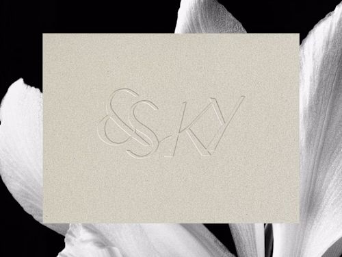 &SKY Brand Identity Design