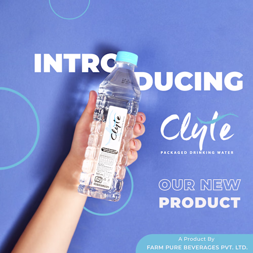 Social Media Post Designs
I focus