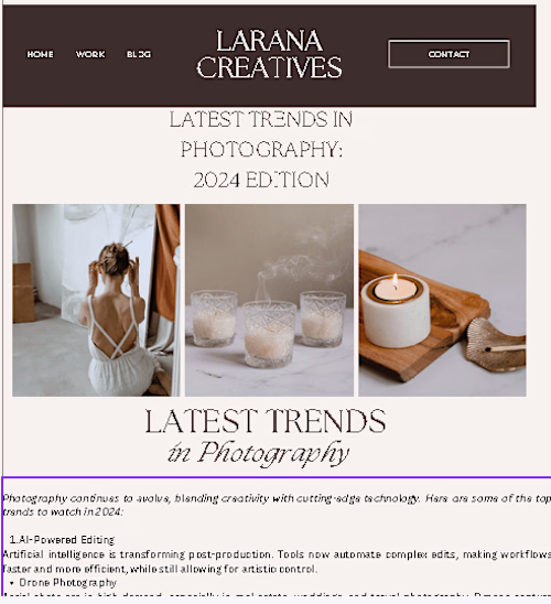 Virtual Assistant Blog Writer for Larana Creatives