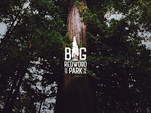 Big Redwood Park