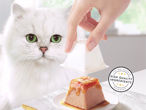 📷 Product Photography & Retouching: Enhancing Visual Appeal