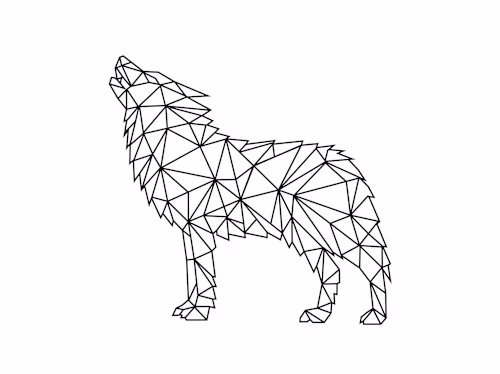 Limited Edition Care Condom Packaging