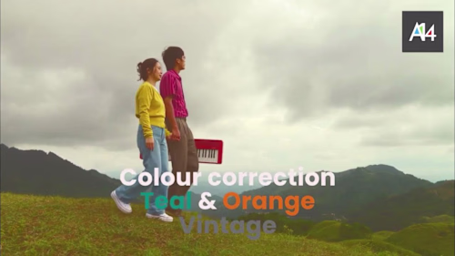 Colour Grading Template | Colour Correction | LUTS | Adobe Prem…