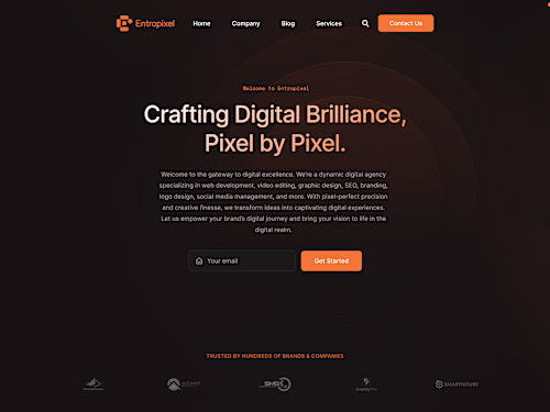 Entropixel Agency Website Development