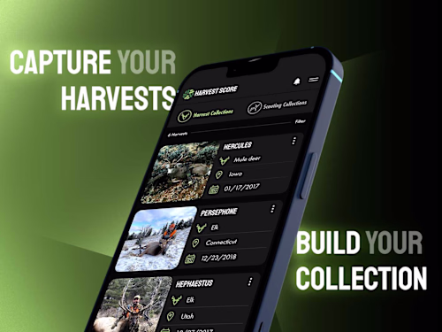 Harvest Score Visual Identity System, Ux/Ui, Art direction