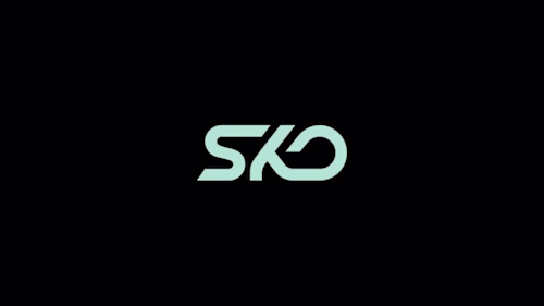 Motion Graphics for SKO Promo