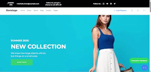 Fasion Website 