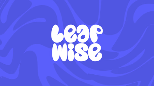 LeapWise brand identity