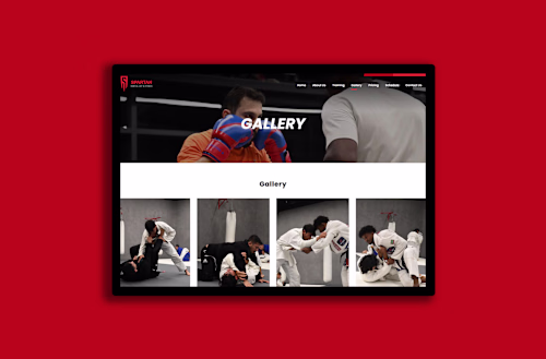 Spartan Fitness - Website
