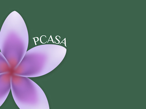Pcasa Logo Redesign