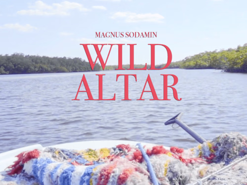 WILD ALTAR - Artistic Interview