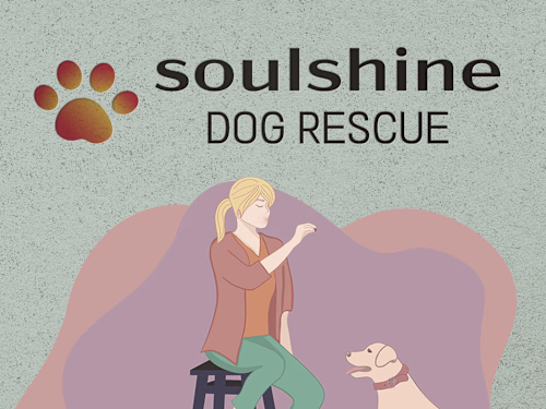 Responsive Website and Logo Design for Non-Profit