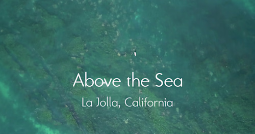 Above the Sea - Aerial Videography / Editing