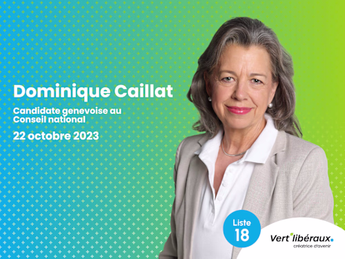 Dominique Caillat - Webflow Campaign Website